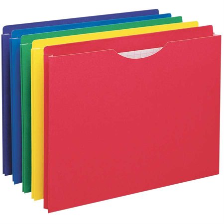 Chemise Collection - 900 Cartes - Chemise 100 Pages - 9 Pochettes /  Compartiments 
