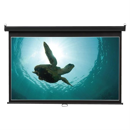Wide Format Wall Mount Projection Screen 65 x 116"