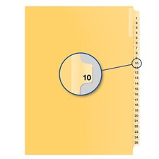 Individual Numerical Litigation Index Dividers #10