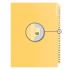 Individual Numerical Litigation Index Dividers #12