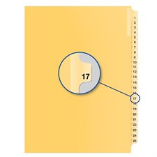 Individual Numerical Litigation Index Dividers #17