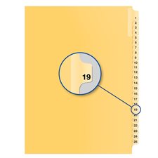 Individual Numerical Litigation Index Dividers #19