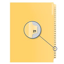 Individual Numerical Litigation Index Dividers #21