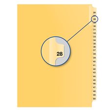 Individual Numerical Litigation Index Dividers #28