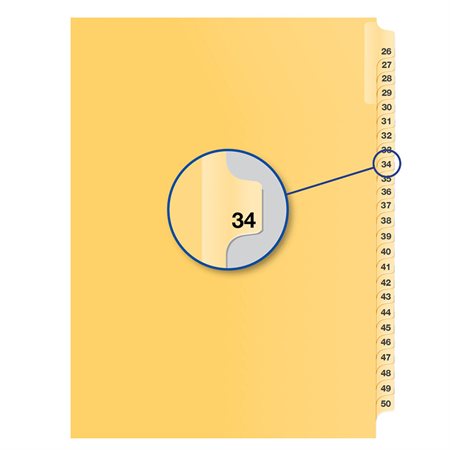 Individual Numerical Litigation Index Dividers #34