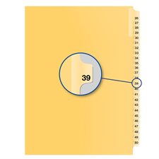 Individual Numerical Litigation Index Dividers #39