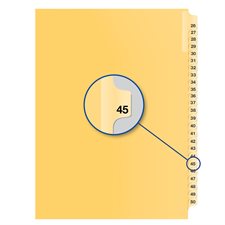 Individual Numerical Litigation Index Dividers #45