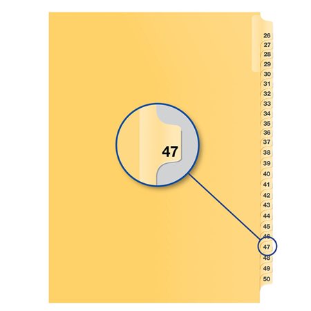 Individual Numerical Litigation Index Dividers #47