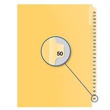 Individual Numerical Litigation Index Dividers #50