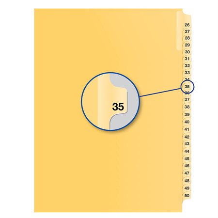 Individual Numerical Litigation Index Dividers #35