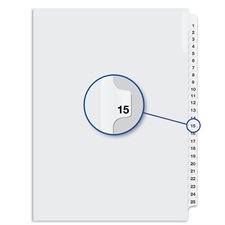 Quest Numerical Litigation Index Dividers 13 to 25 #15