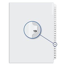 Quest Numerical Litigation Index Dividers 13 to 25 #19