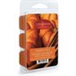 Cubes de cire fondants - Pumpkin spice